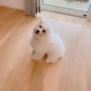 nanohaの画像