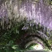 ☆やこ☆