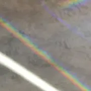 piiiの画像