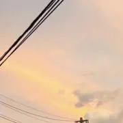 UUの画像