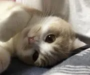 yuglyの画像