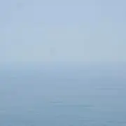 ザラキーマ