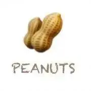 PEANUTS 家族みんなで断捨離中！の画像