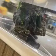 ぢゅなの画像
