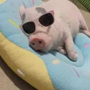 ニクねいる♡プロフ必読＆48時間以内発送の画像