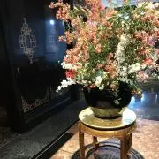 らんらんらんの画像