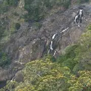 中見里