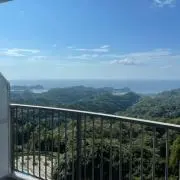 たにたにの画像