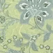 むみの画像
