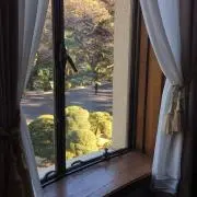 maronの画像