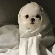 mの画像