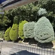 potoの画像