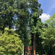 ms1125の画像
