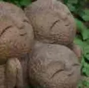 hikali
