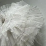 ずの画像