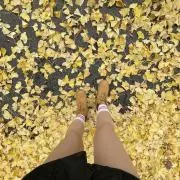 り かの画像