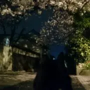 あん