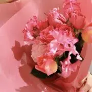 skの画像