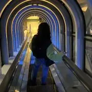 ぶの画像