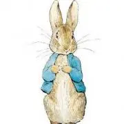 rabbit chanの画像
