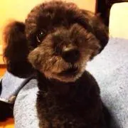 あんなぱんなの画像