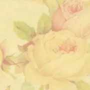 ナオミの画像