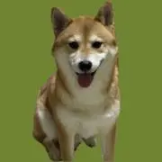 コロ☆プロフィール秘読‼️ 断捨離中の画像
