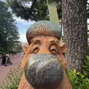 ぼろぼろぽーろの画像