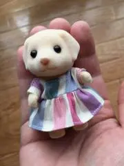 しろの画像