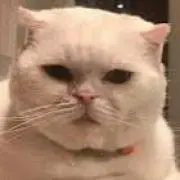 なたろんの画像