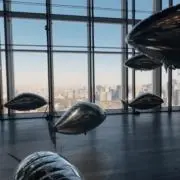 深海(24時間以内発送)の画像