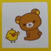 あさがおの画像