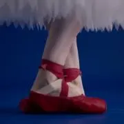 イエローの画像