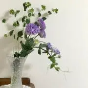 yumariの画像