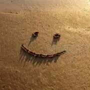Smile☺︎の画像