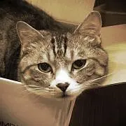 POCO.com