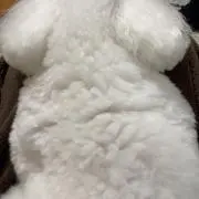 まるん