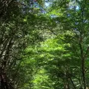 ハルトの画像