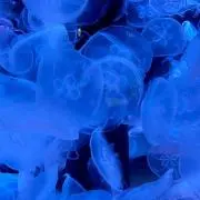 takekomaの画像
