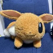 リチル
