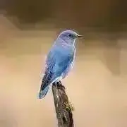 hiroの画像