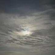 ミプの画像