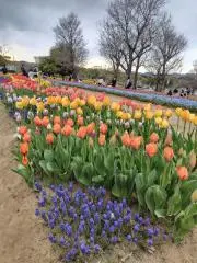 guriguraの画像