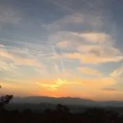 M＊