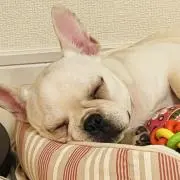 OSUMACの画像