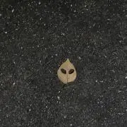 ジロウの画像