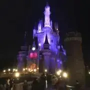レポ