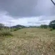 てらりょの画像