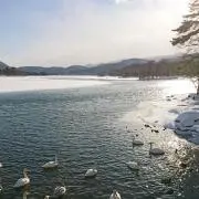 ジュコ