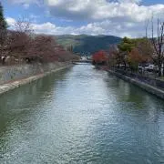 satoの画像